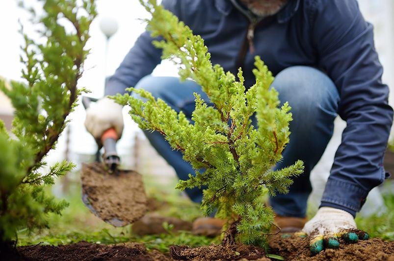 F&E Landscaping Images (17)