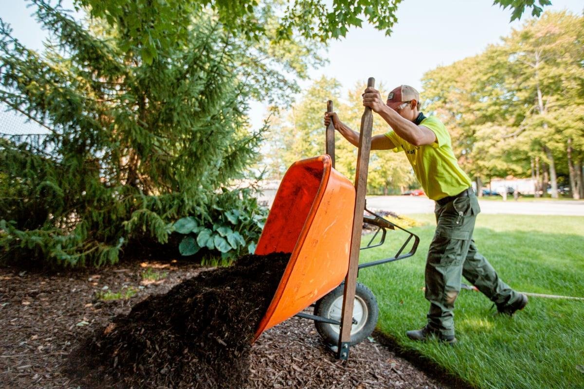 F&E Landscaping Images (21)