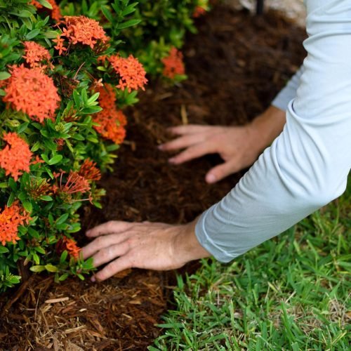 F&E Landscaping Images (1)
