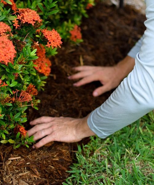 F&E Landscaping Images (1)