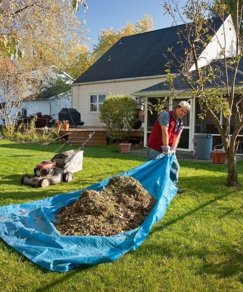 F&E Landscaping Images (12)