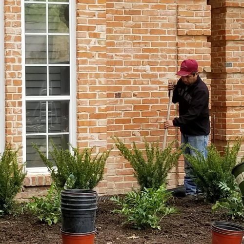 F&E Landscaping Images (16)