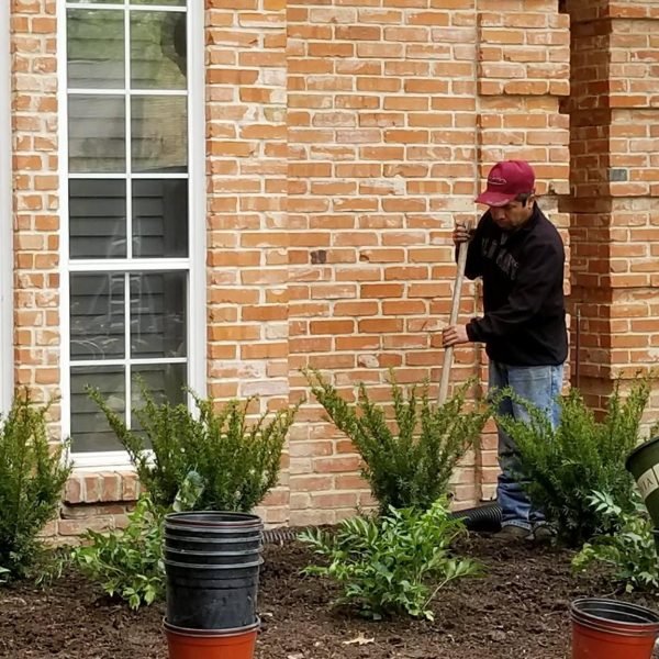 F&E Landscaping Images (16)