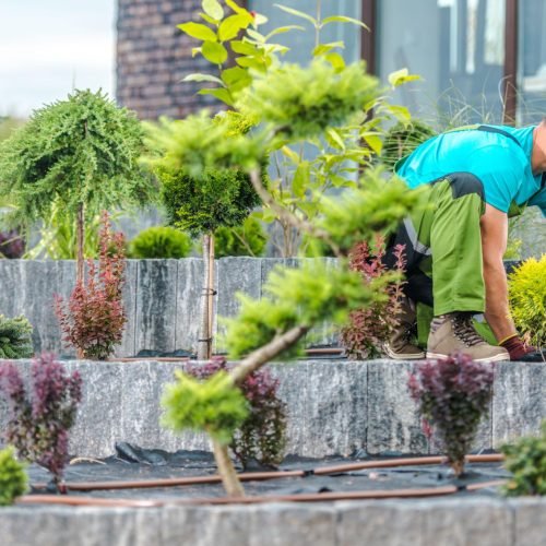F&E Landscaping Images (18)