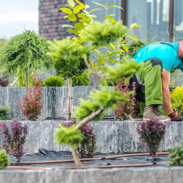 F&E Landscaping Images (18)
