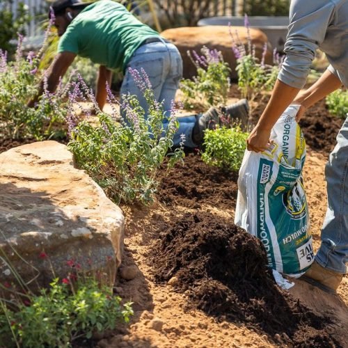F&E Landscaping Images (19)