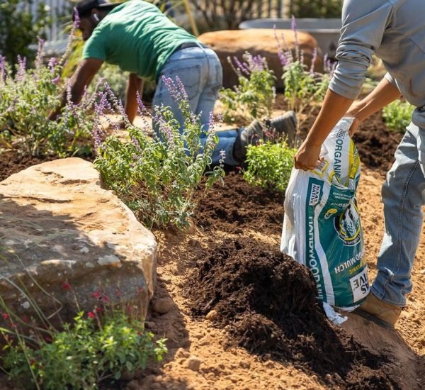 F&E Landscaping Images (19)