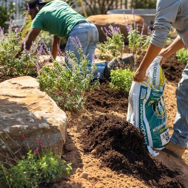 F&E Landscaping Images (19)