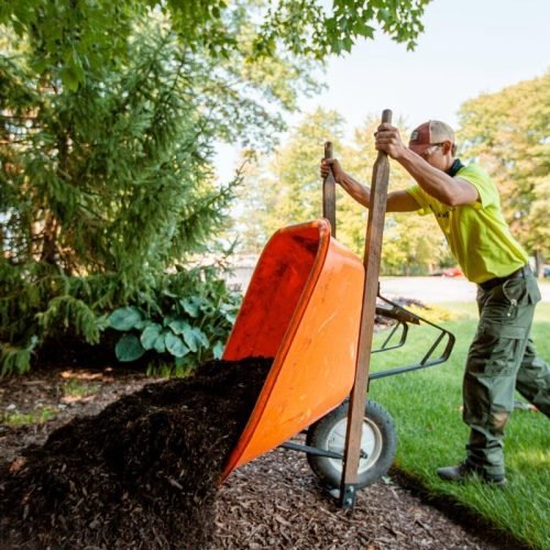 F&E Landscaping Images (21)