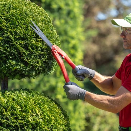 F&E Landscaping Images (4)