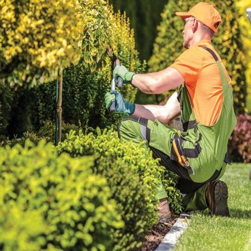F&E Landscaping Images (5)