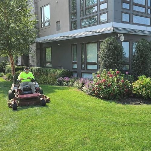 F&E Landscaping Images (6)